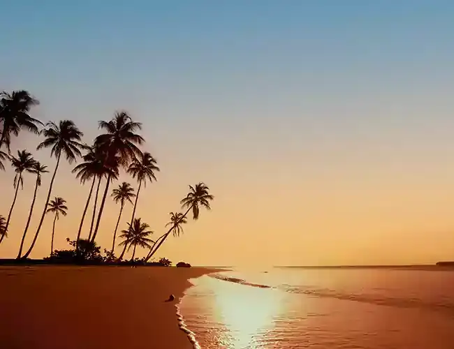 Land Of Gold Alibaug